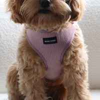 Vintage Pink Harness