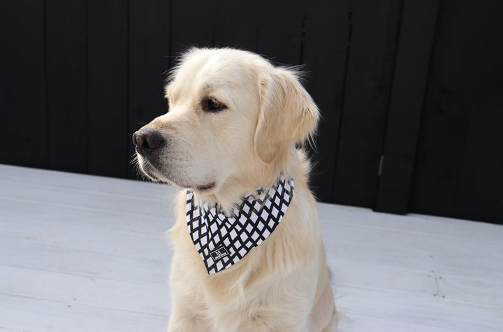 Bandanas