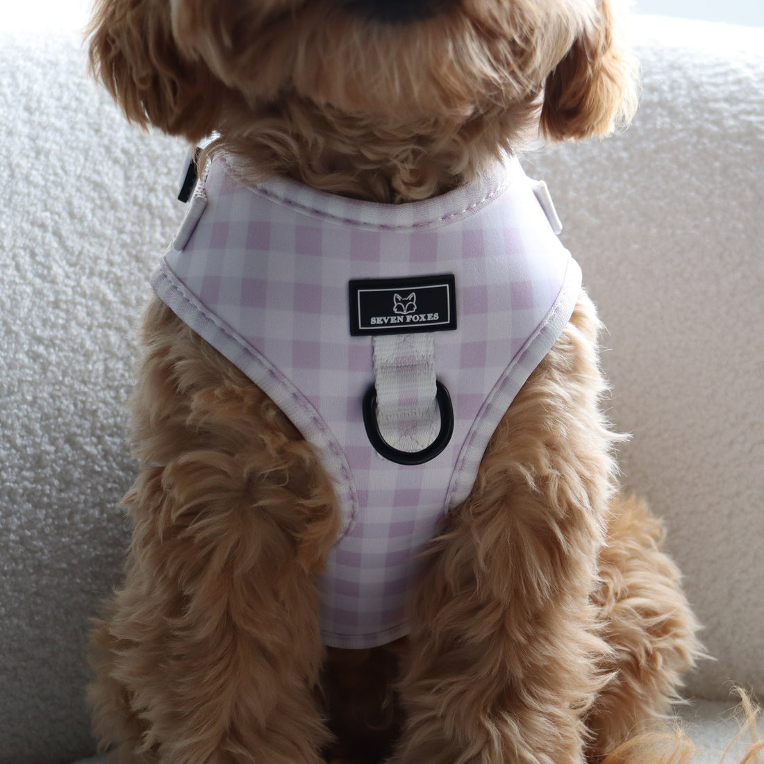 Iced Lilac Gingham Harness