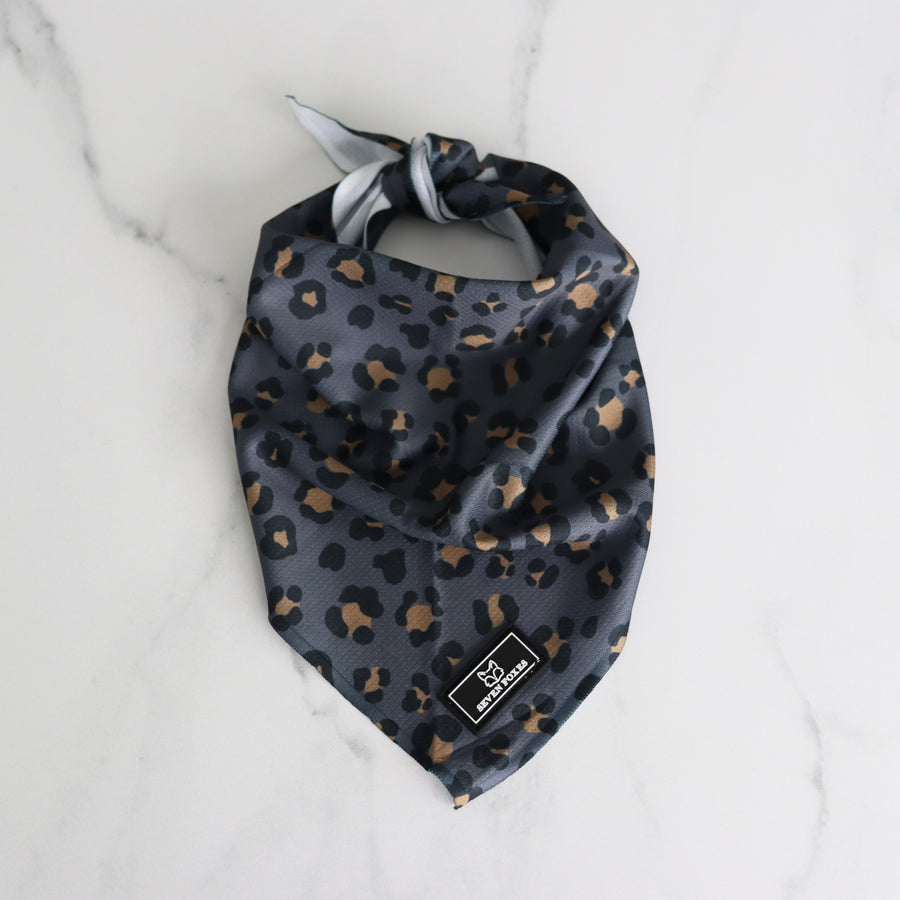 Sass Leopard Print Bandana