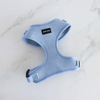 Spinnaker Blue Harness