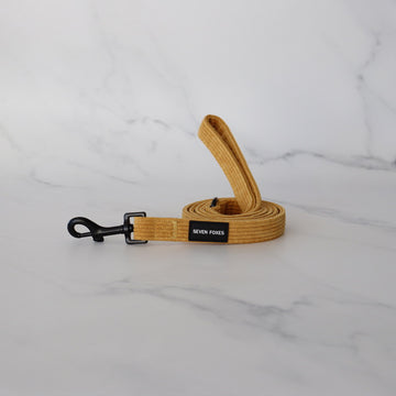 Gold Rush Leash