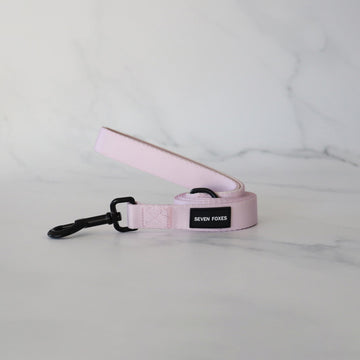 Iced Lilac Leash