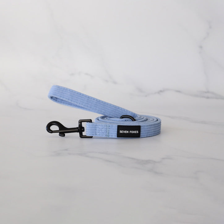 Spinnaker Blue Leash